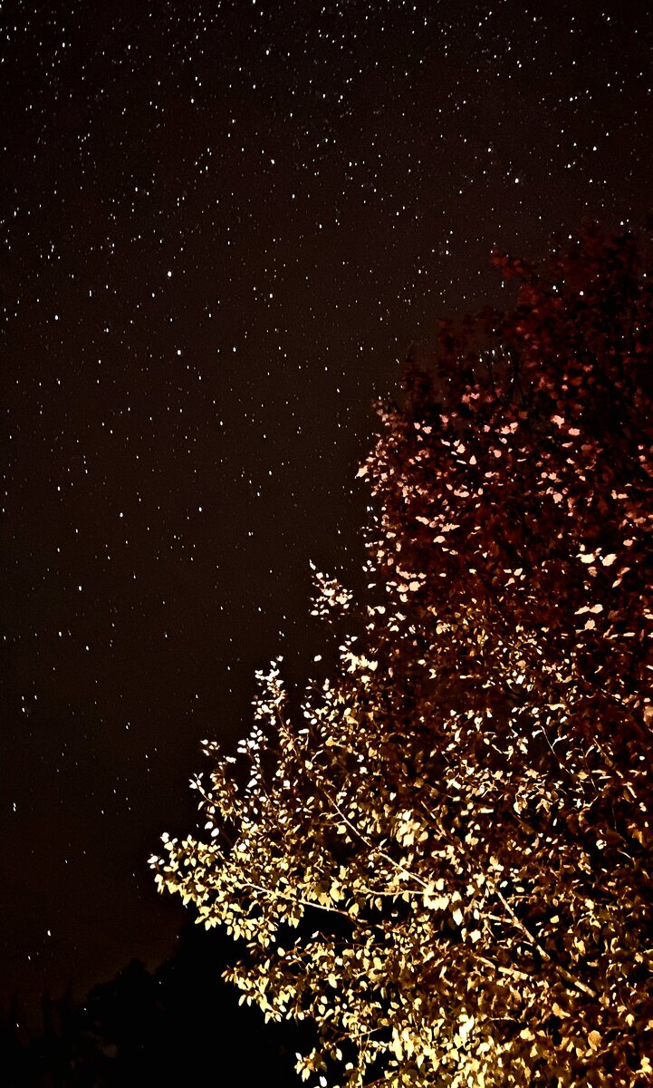 Перевал рядом с Джубгой.  