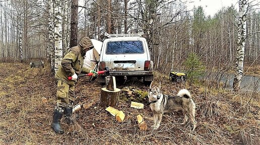 В лес с ночёвкой. К палатке пришёл зверь. Ищу металл там где была деревня. Закидываю донки.