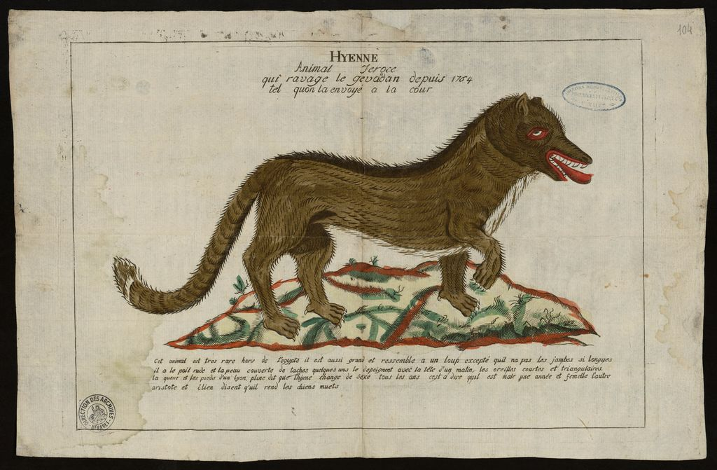 Рисунок Жеводанского зверя от 1765 года