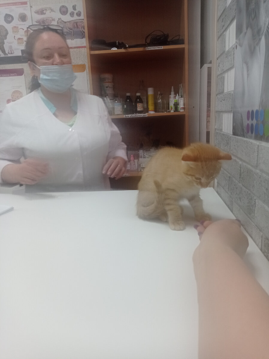 Время 11.40 по местному времени... мы еще ничего не знаем, просто на приеме