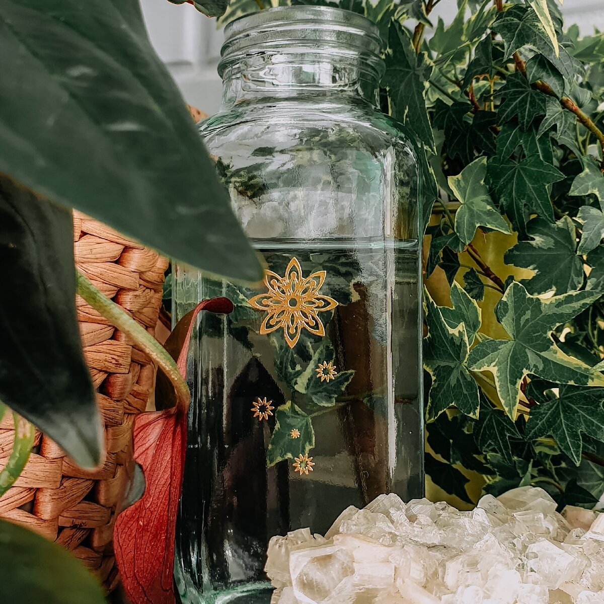 Лунную воду нельзя выносить на дневной свет!