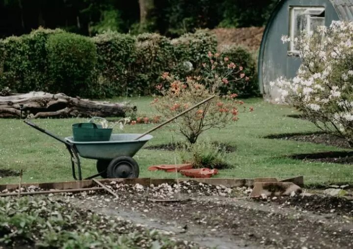 Фото unsplash/Annie Spratt: на четвертой неделе июня у дачников будет много дел