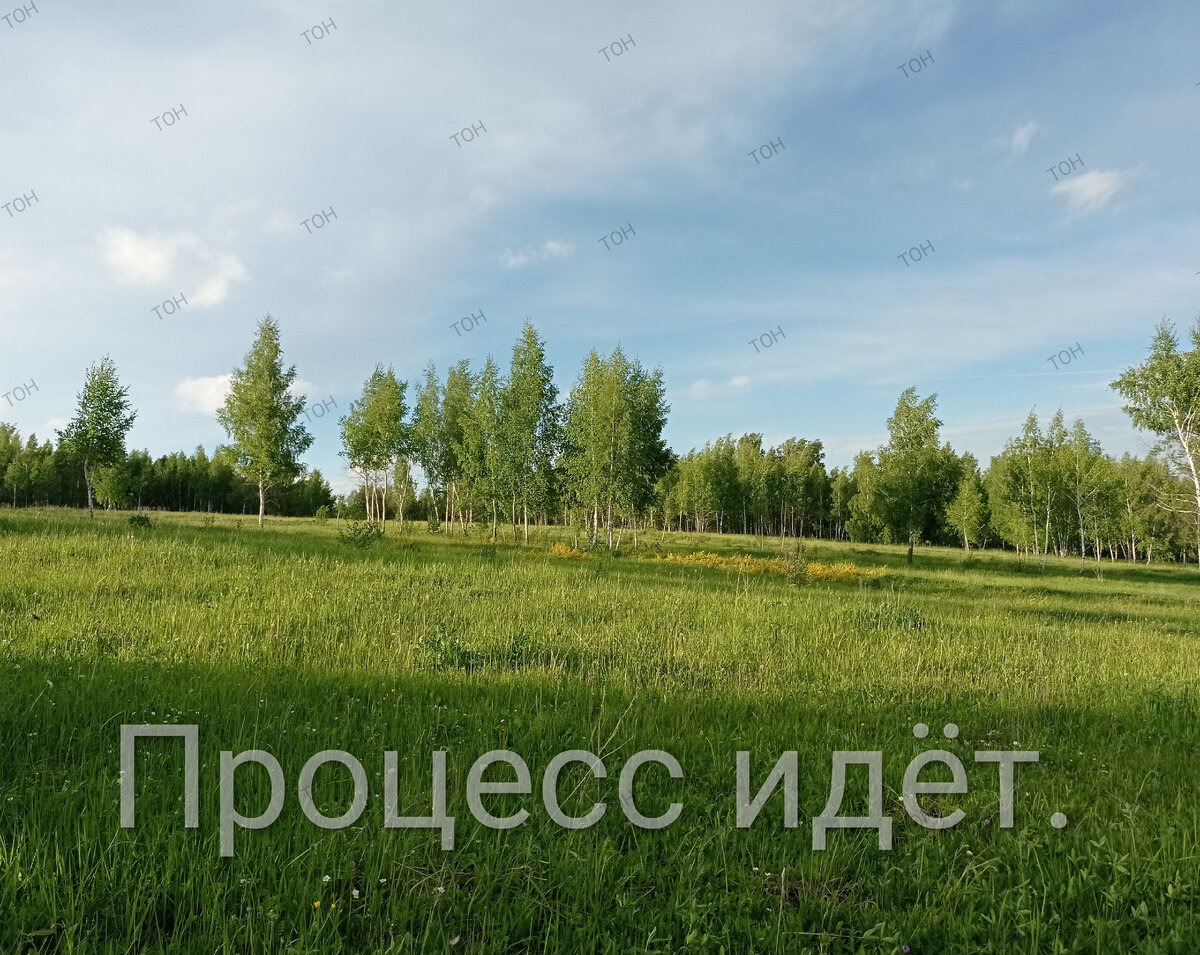Процесс идёт