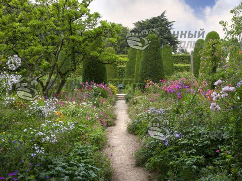 Английский сад полон пышных цветущих растений