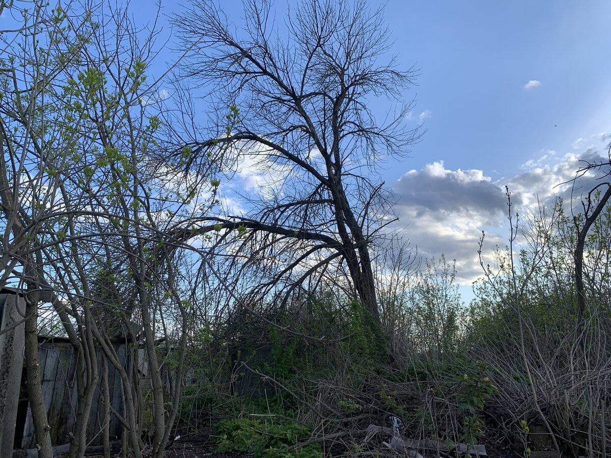 Следующий претендент! 