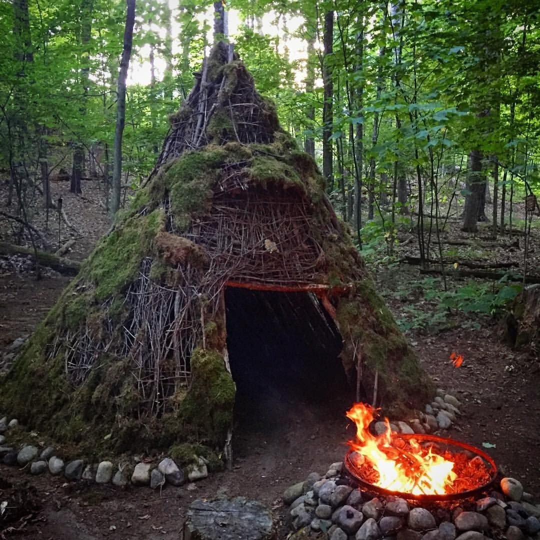 Фото шалаша в лесу летом