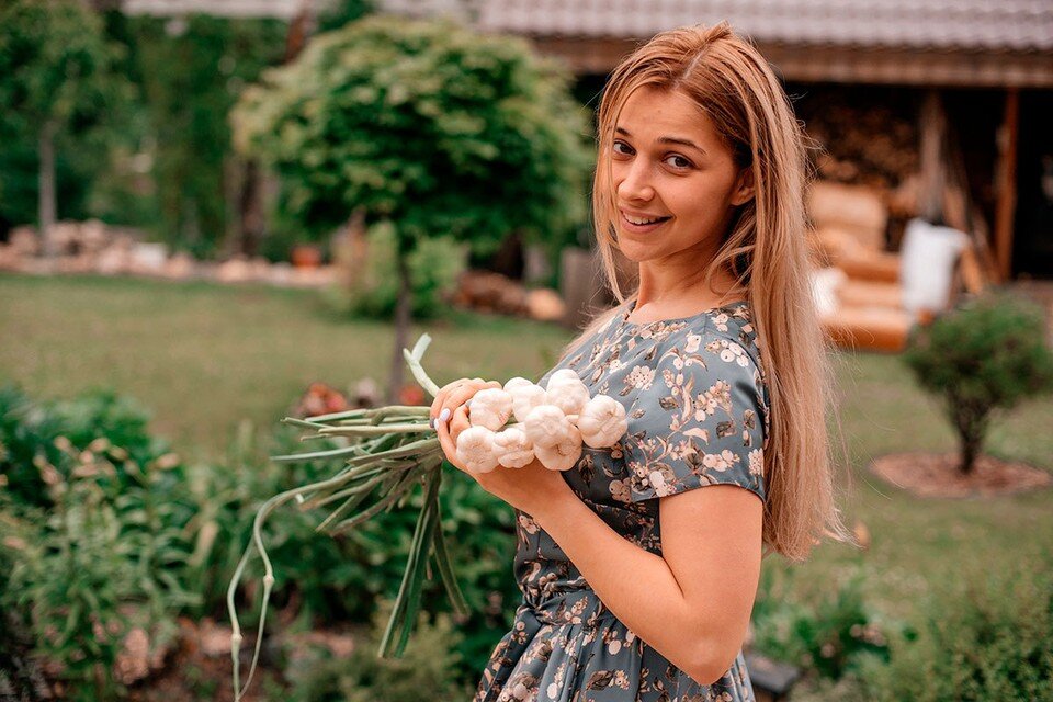     У чеснока кроме антибактериального, есть еще полезное свойство - снижать холестерин.  Shutterstock