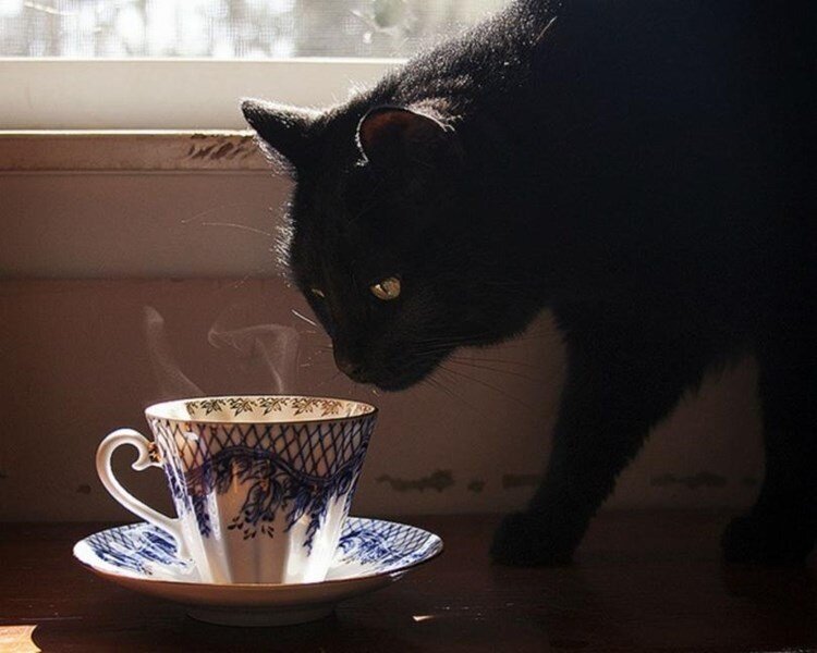 (фото из инета)