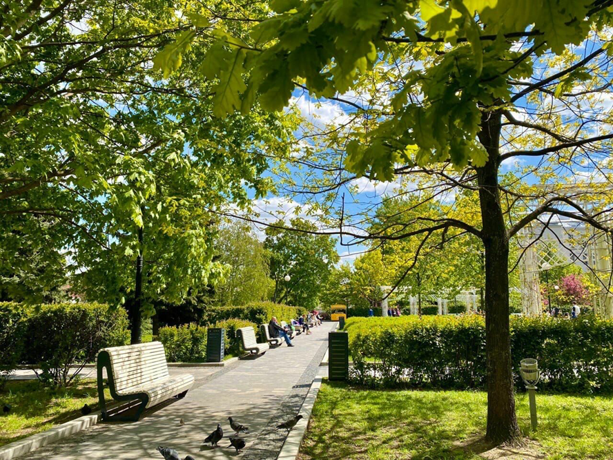 Источник: Яндекс-карты