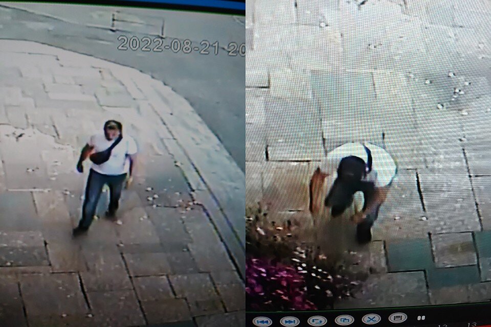     С чужими цветами мужчина быстро убежал к остановке. "Нищий романтик", - скептично оценили его проступок северяне. Фото: vk.com/murmansk_dtp
