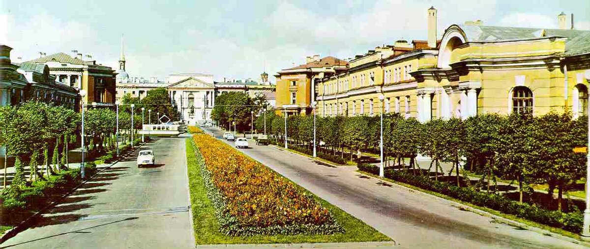 Кленовая улица. Ленинград, 1964 