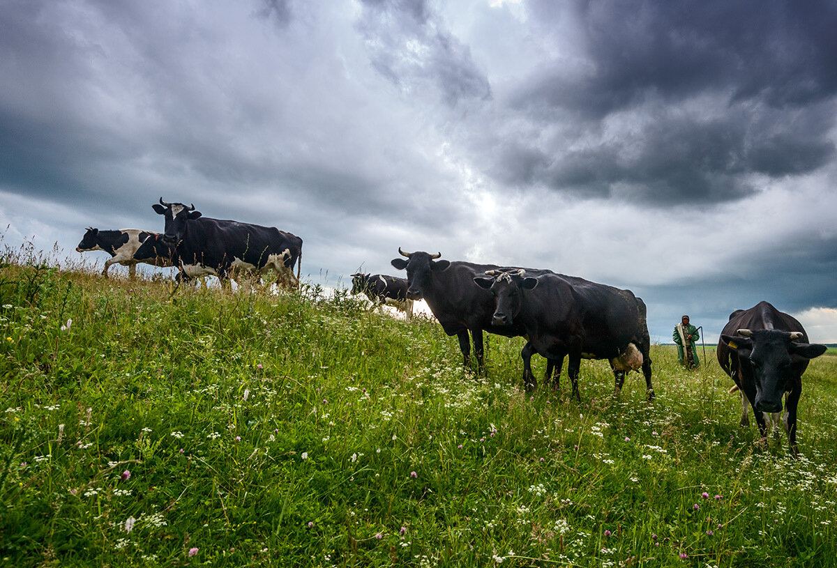 Ставьте лайк, если вам понравилась публикация. Подписывайтесь на канал и будьте в курсе отраслевых событий.