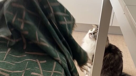 КУЗЯКА | Сейчас ты увидишь лучшее в мире привидение с мотором | Дзен