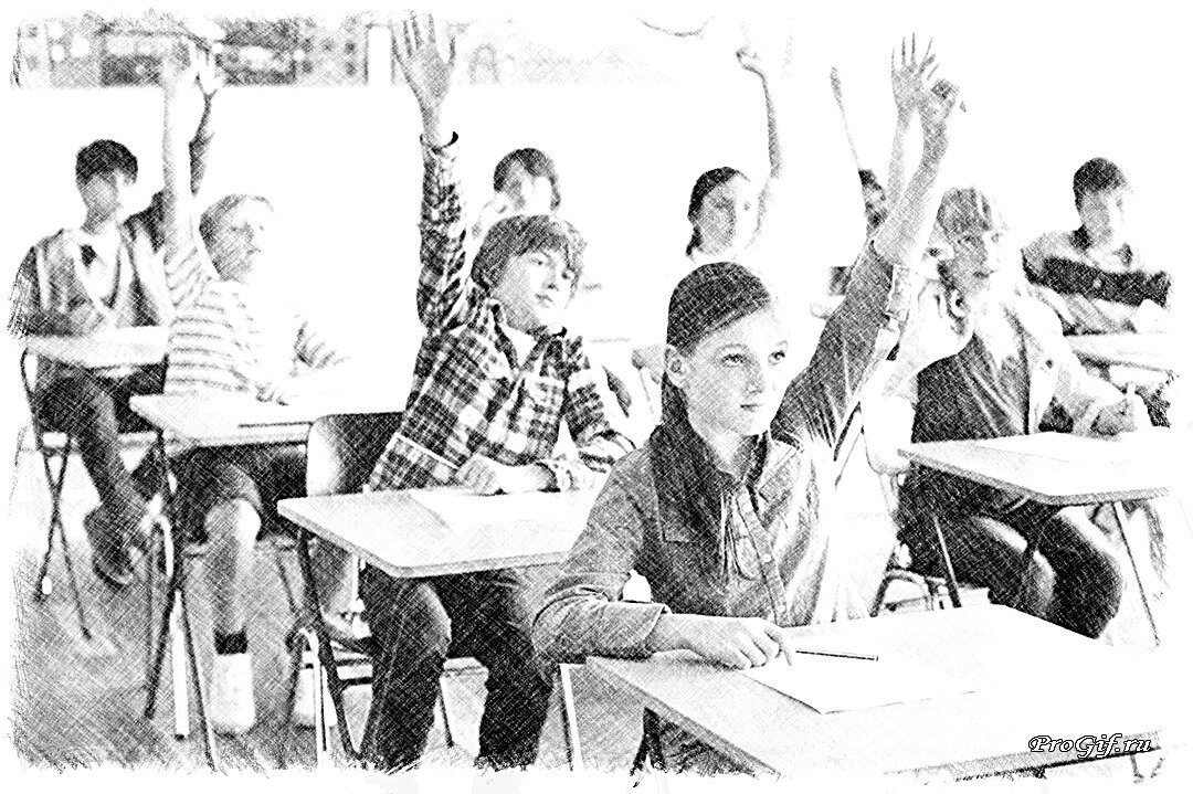 Фото из открытого источника