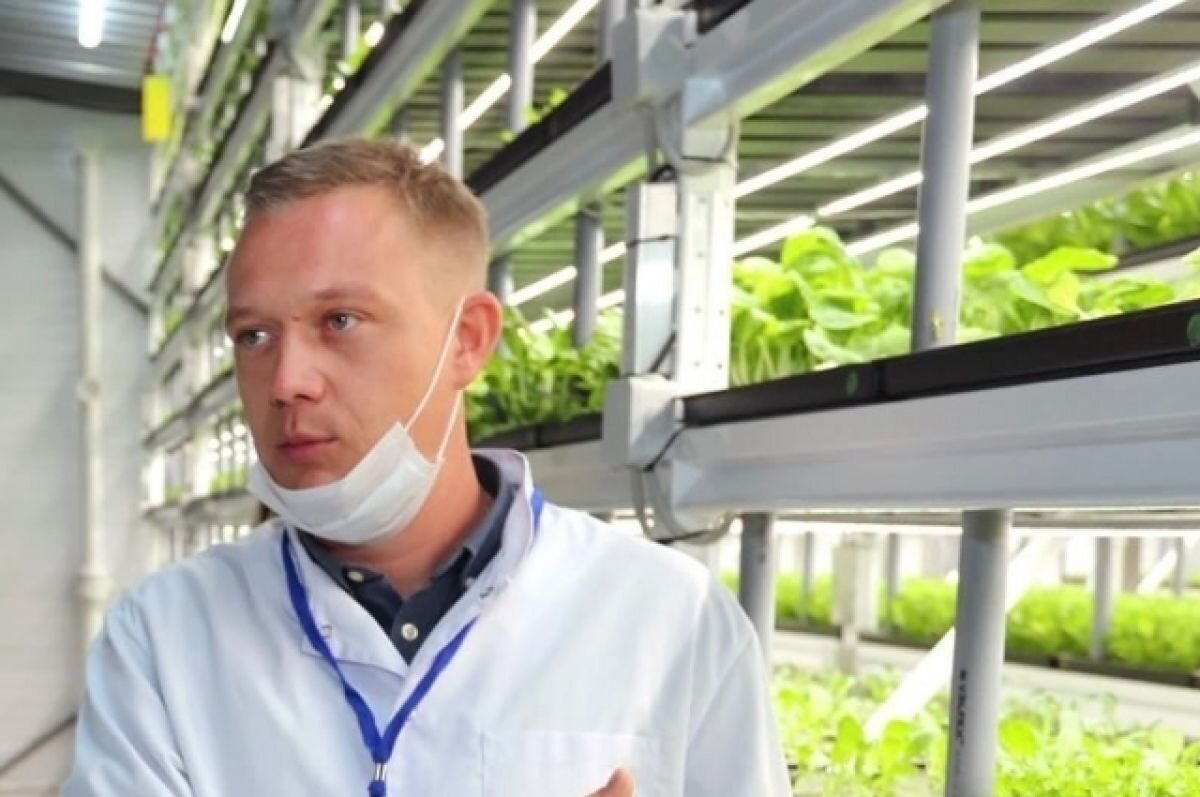    Владимирский фермер получил федеральный грант на развитие сити-фермы