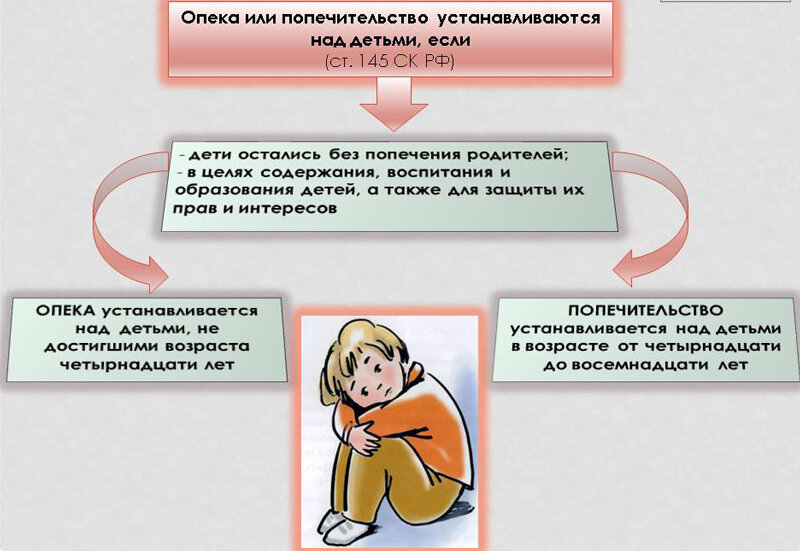 Как оформить опекунство над ребенком в Украине в 2022 году