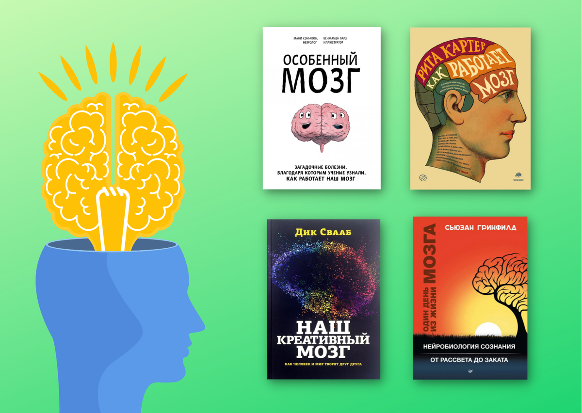 Brain 64