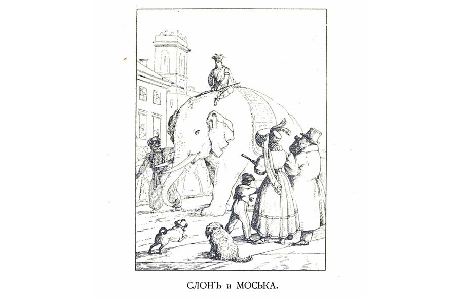 Чему учит слон и моська. Слон и моська карикатура. Моська из басни. Раскраска к басне слон и моська.
