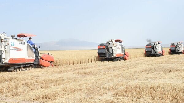   © Пресс-служба Президента Республики Таджикистан