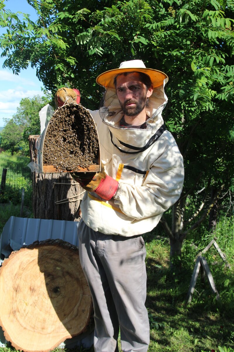 Свальный рой перед заселением