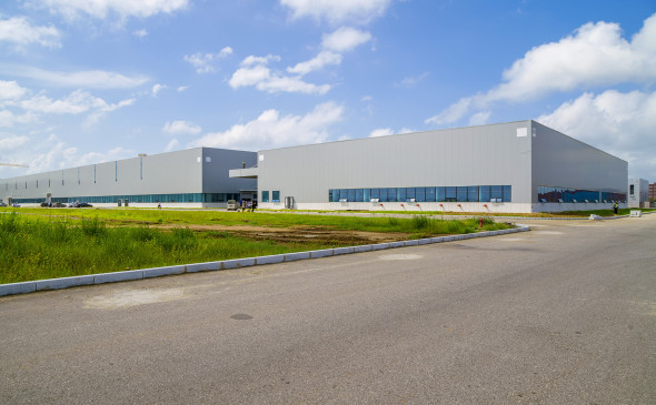 Фото: ru.freepik.com 