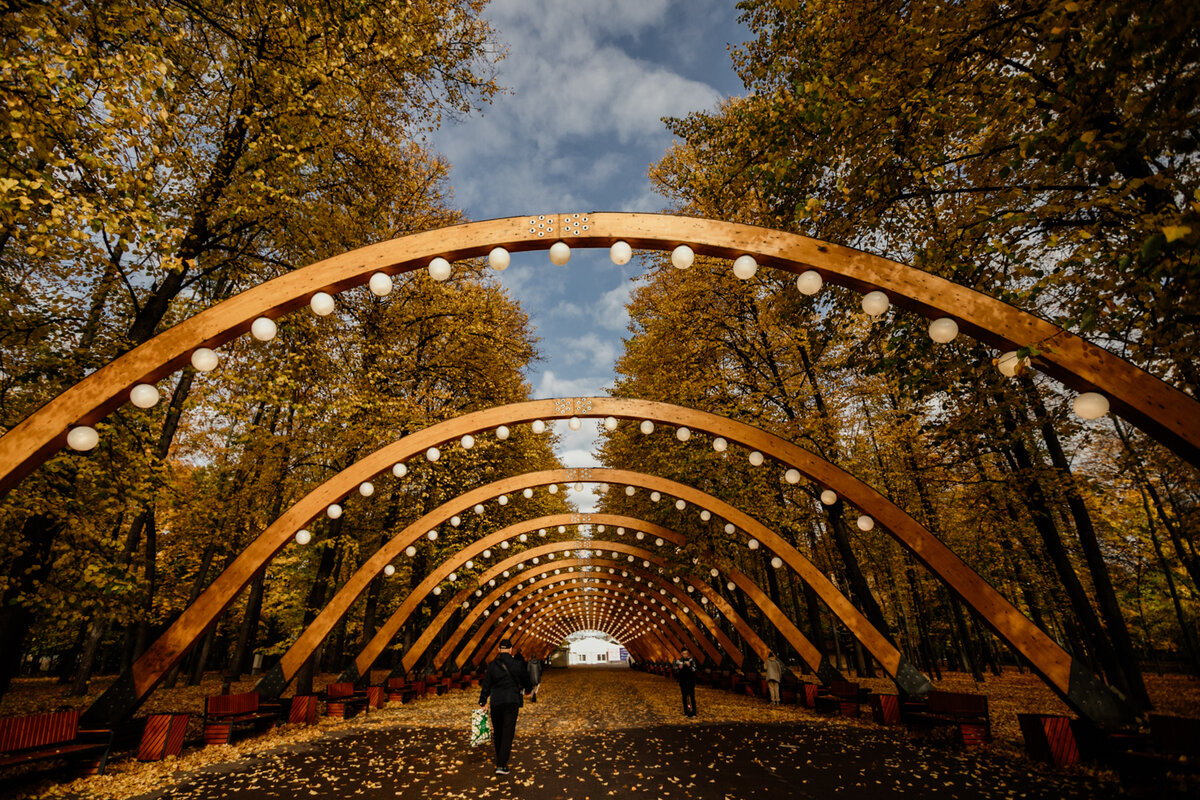 сокольнический парк москва