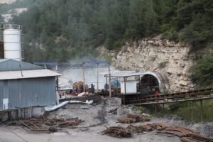    Фото: stockholmcf.org Ирина Амелина