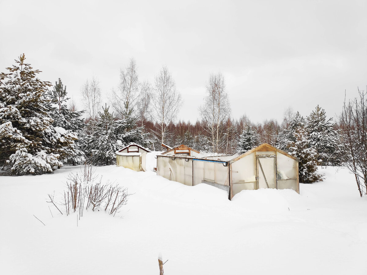 Приехали мы, значит, почистили теплицы от снега... а в середине неделе поведали нам синоптики, что, мол "выпала месячная норма осадков". Мчимся на дачу... и стоим у разбитых теплиц... и вдребезги разбитых надежд на раннюю зелень. Фото автора
