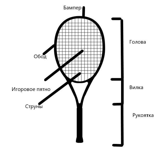 Основные элементы теннисной ракетки