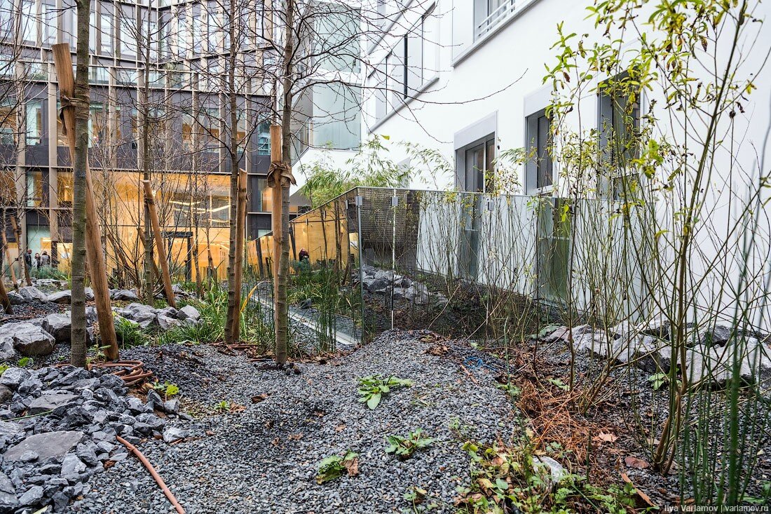 где живет варламов