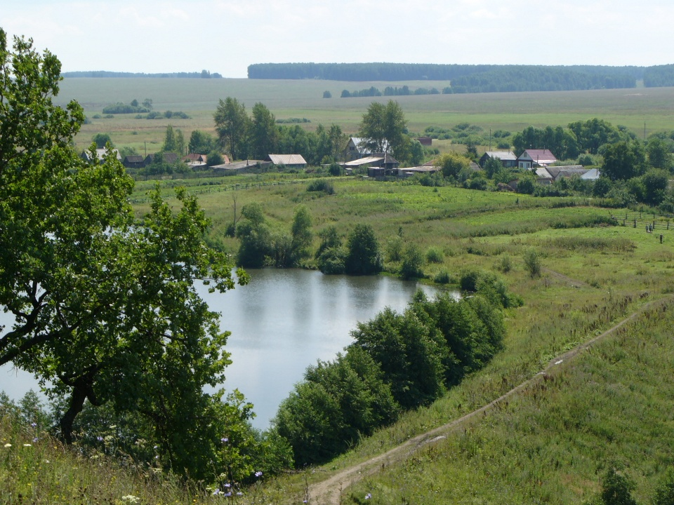 Индекс село ульяновское. Репьевский пруд Инзенский район. Ломы озеро Ульяновск. Реки Майнского района Ульяновской области. Кармалейка Ульяновская область пруд.