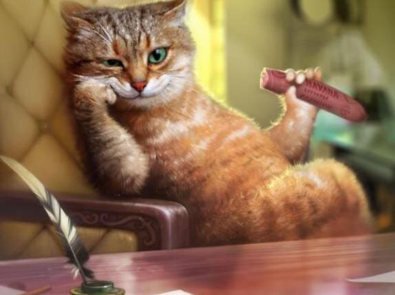 Фото из открытых источников