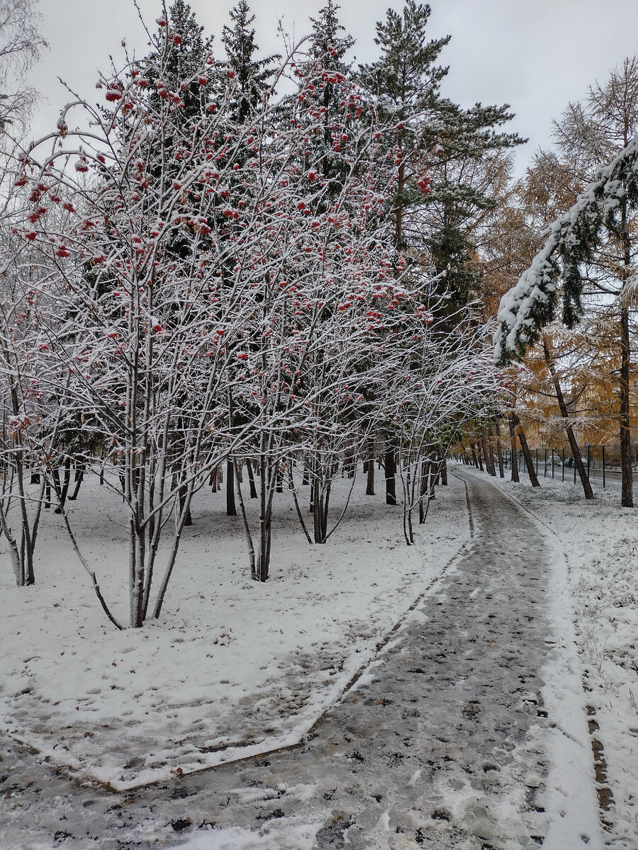 Советский парк, Омск