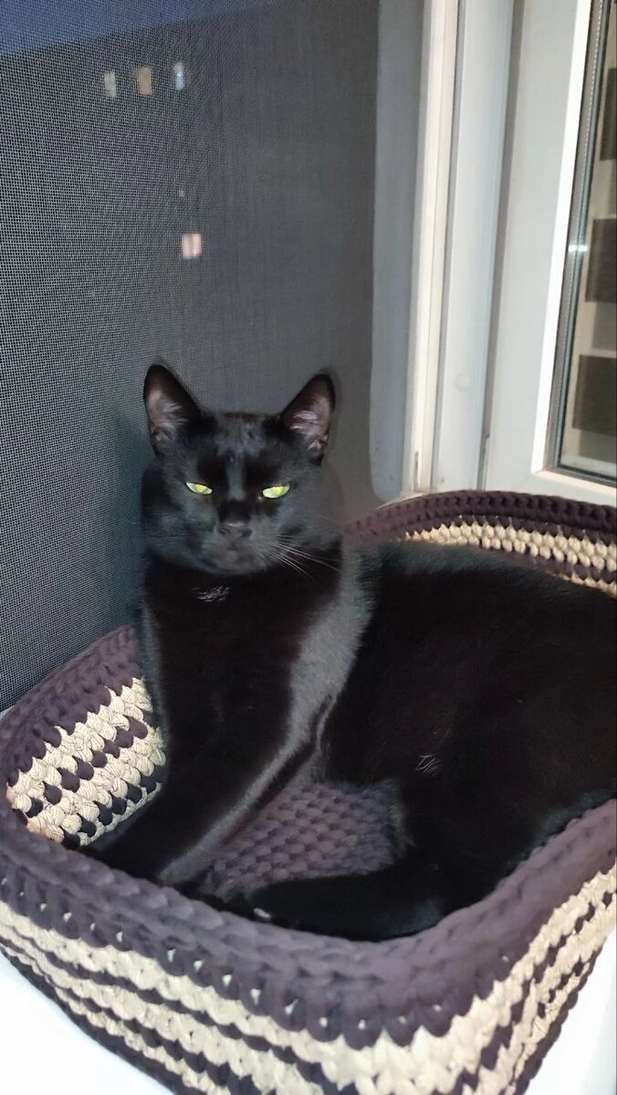 Как думаете он доволен?