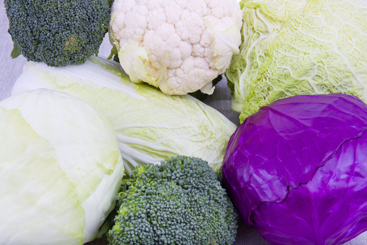    Под зиму можно сажать любой вид капусты