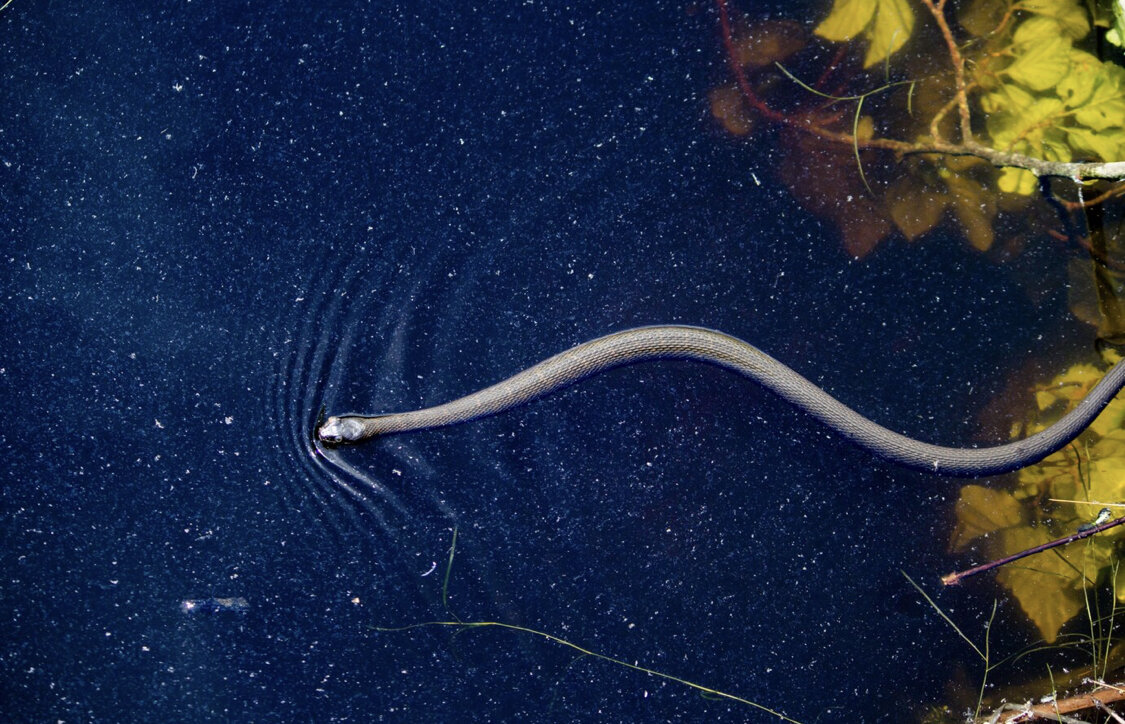 Изображение:ru.freepik.com