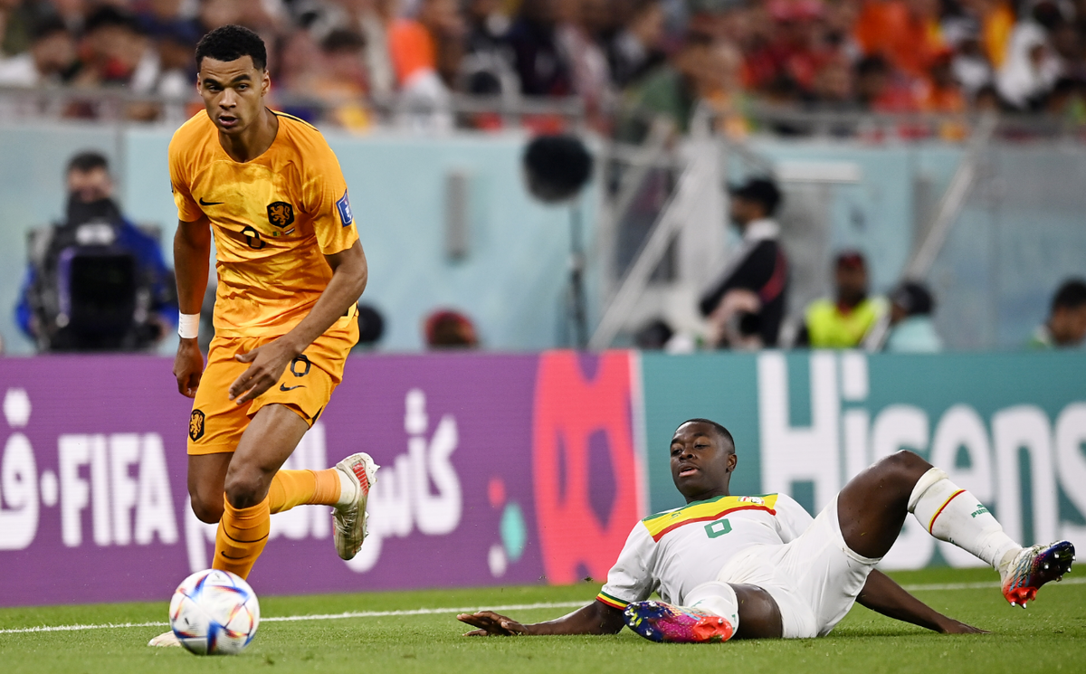 Победный мяч в матче Сенегал - Нидерланды забил Коди Гакпо. Фото: globallookpress