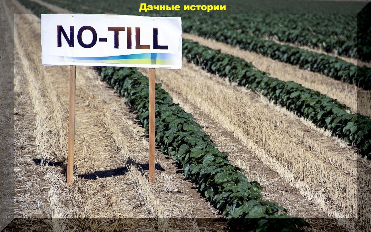 https://vk.com/photo-159774511_457257044