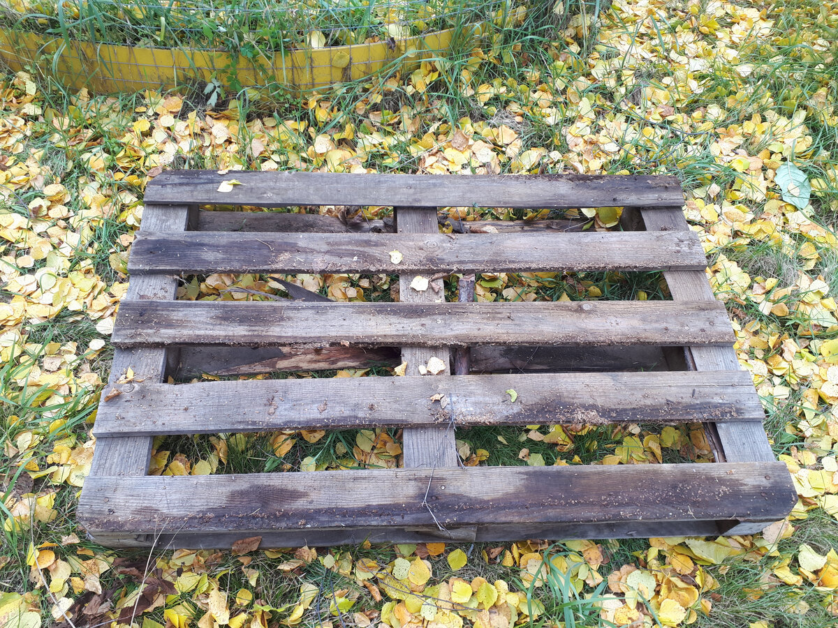 Тот самый поддон, который ждал своего часа.