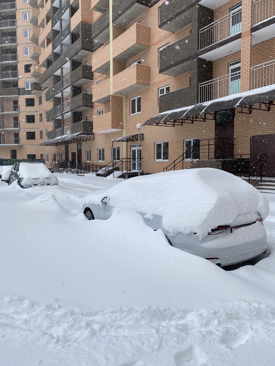 Краснодар, январь 2021. Фото автора