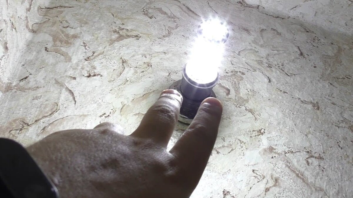 Фото носит иллюстративный характер