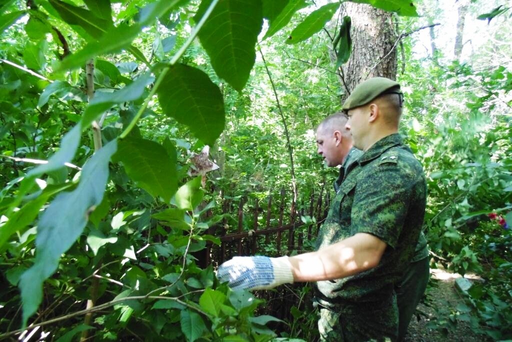 Захоронения, заросшие травой.