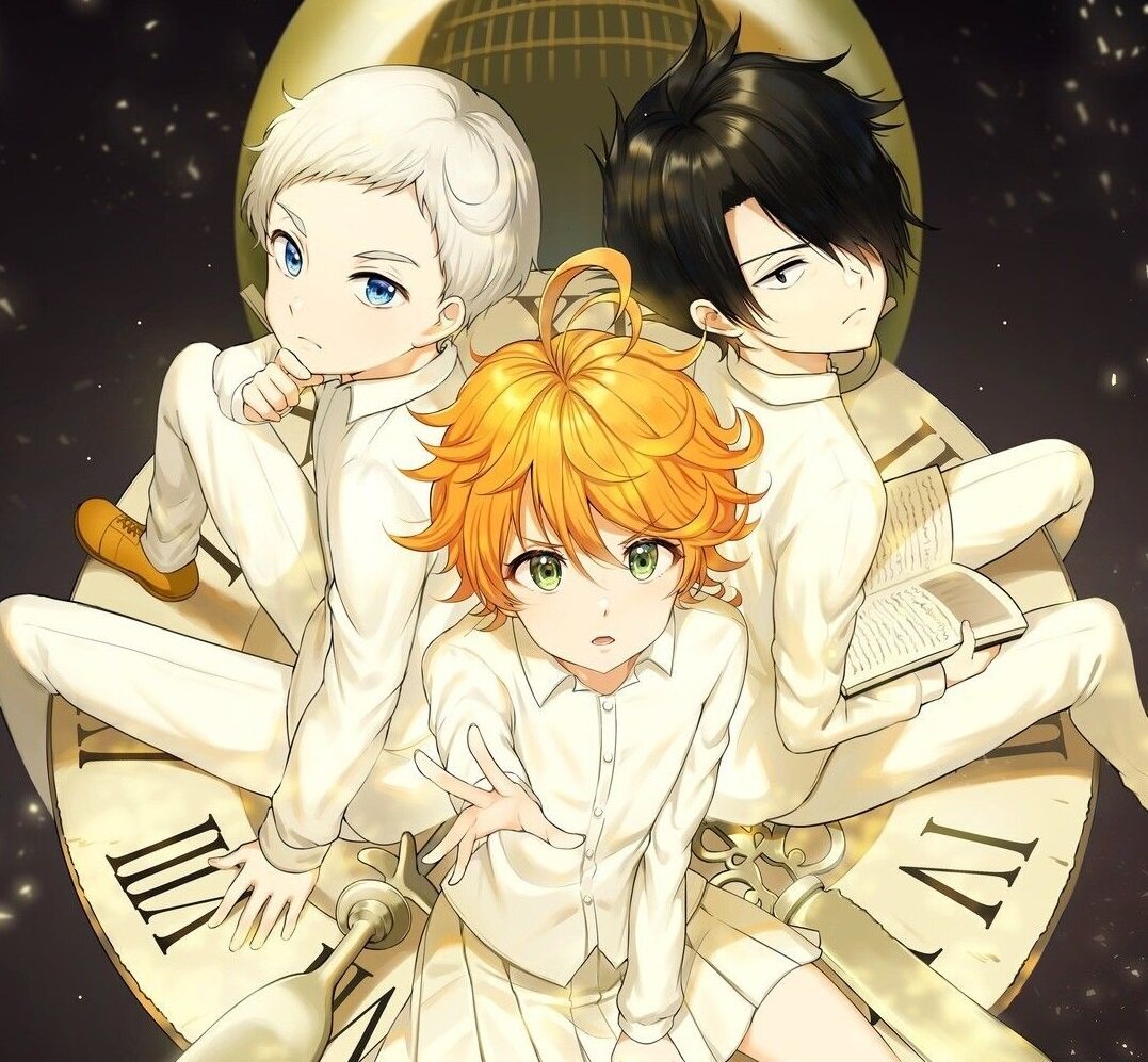 В приюте «Грейс Филд» под чутким надзором Мамы живёт группа детей разных возрастов. Самые умненькие - 11-летние Норман, Эмма и Рэй - лучшие друзья всю свою жизнь. Каждый ребёнок ждёт не дождётся усыновления, и когда он поедет в новую семью, а пока детишки играют целыми днями в догонялки и не знают бед и невзгод. Но в одну ночь Норман и Эмма узнают о приюте жуткую правду, и теперь у них остаётся выбор - сбежать или умереть. Советую посмотреть, смотрится быстро и на одном дыхании. 