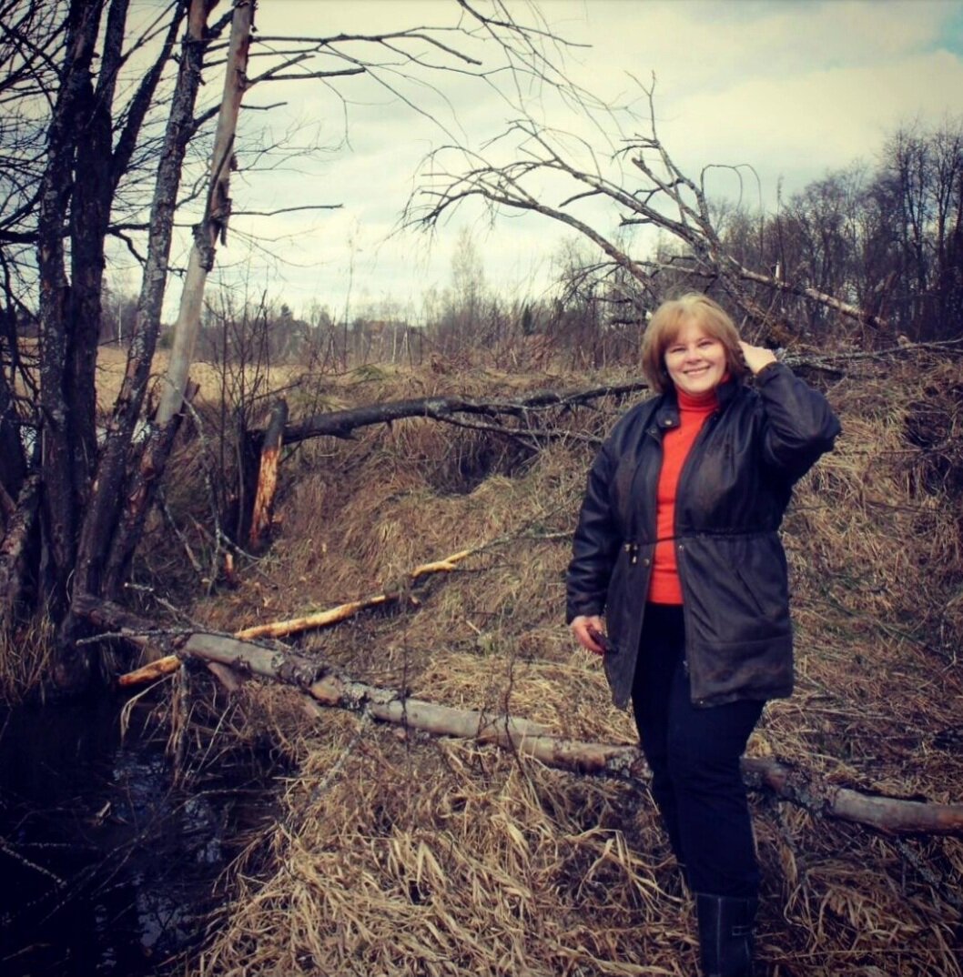 В гостях у бобров. 