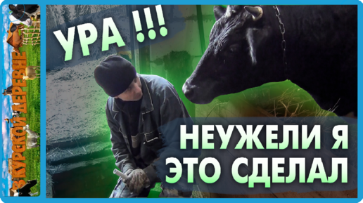 давно нужно было это сделать, теперь будет проще | В КУРСКОЙ ДЕРЕВНЕ | Дзен