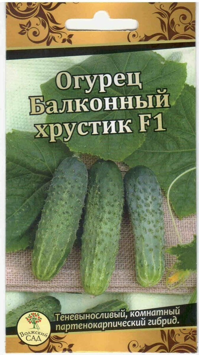 Яндекс картинки