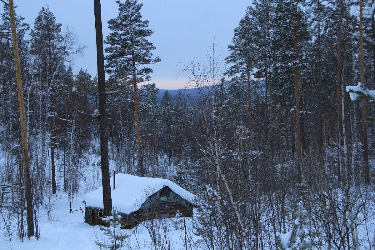 Охотничье зимовье в Уральской тайге. Авторское фото канала "В когтях у хищника"
