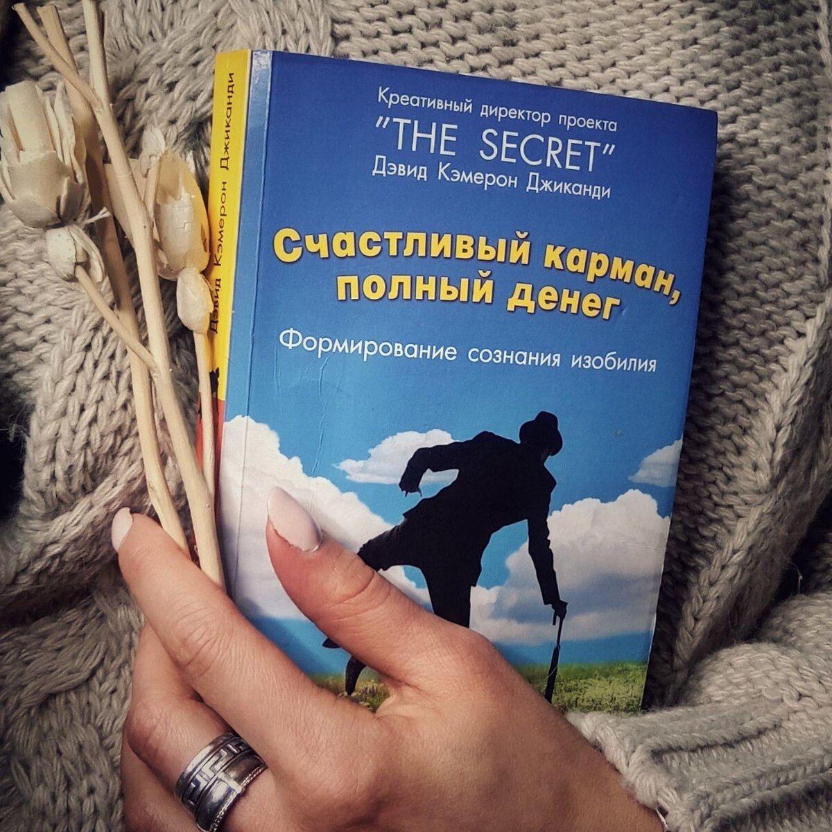 Читать книгу карман полный денег. Читать книгу карман полный денег