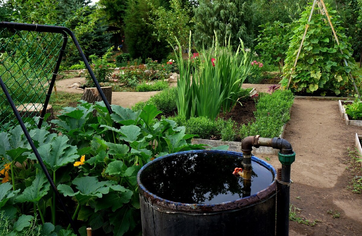 Бочка в огороде - так было раньше