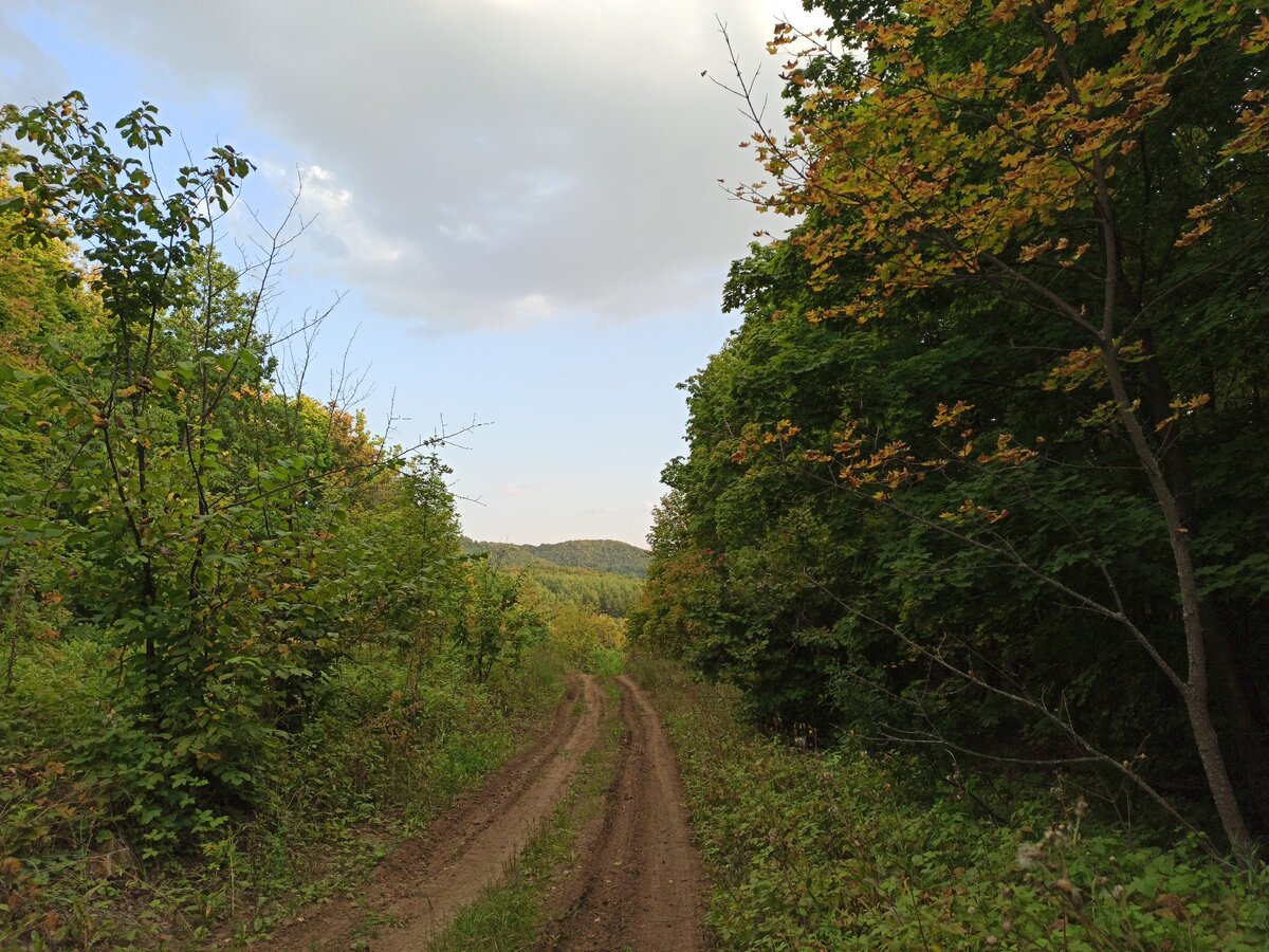 Дорога